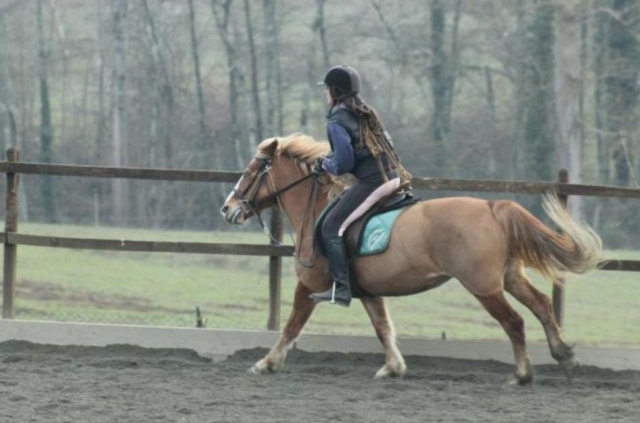  Reitschule 